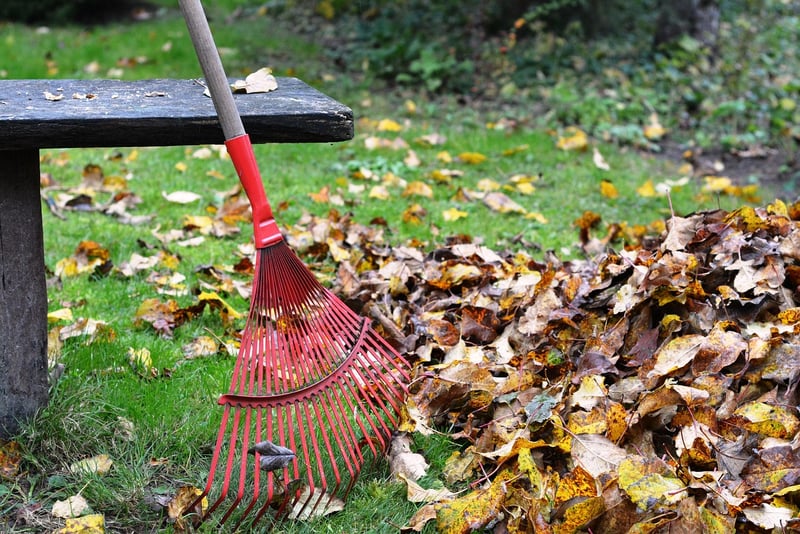 Phoenix rake