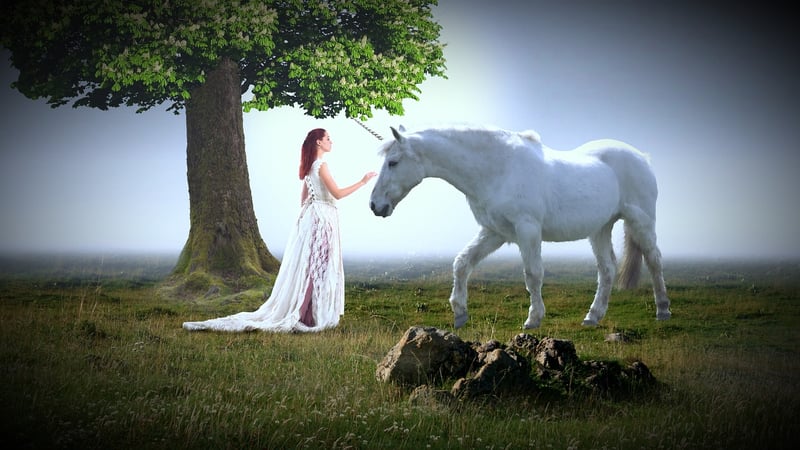 Unicorn meadows
